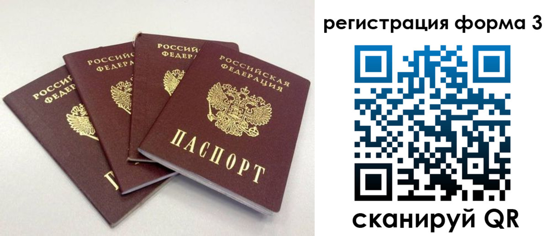прописка 2025 в Геленджике